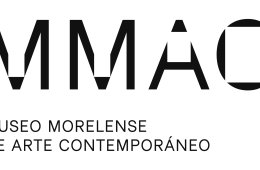 Materia indómita