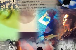 muestra