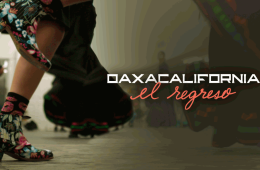 Oaxacalifornia: el regreso