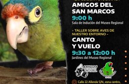 Amigos del San Marcos