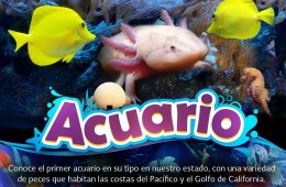 muestra