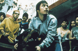 Amores perros