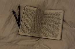 Diario literario: un acercamiento a la autobiografía