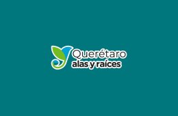 Cuenta tu historia en mi voz 