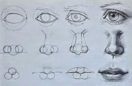 muestra