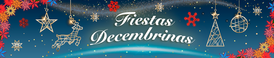 Fiestas Decembrinas