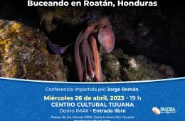 Buceando en Roatán, Honduras