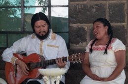 Actividad académica de Domitzú