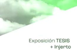 Tesis + Injerto