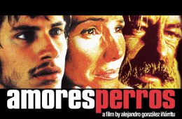 Amores perros