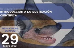 muestra