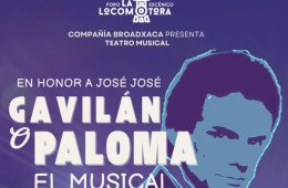 Gavilán o paloma