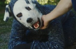 Good Boy