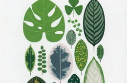 Entre páginas y calles