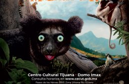 muestra
