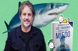 Los tiburones también tienen miedo