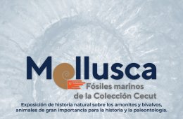 muestra