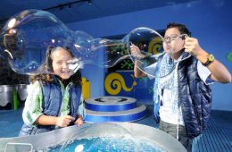 Pequeños exploradores del museo