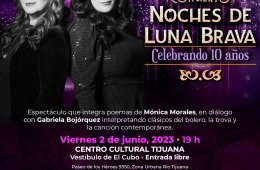 Noches de Luna Brava
