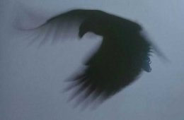 Los negros pájaros del adios