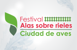 Activación de dibujo. Las aves de tu ciudad