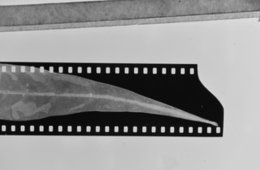 Reutiliza tus materiales fotográficos velados, caducos o sobre expuestos