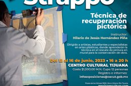 muestra