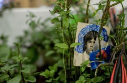 Veracruz en siete tiempos.  Una revisión a la Bienal de Arte Veracruz