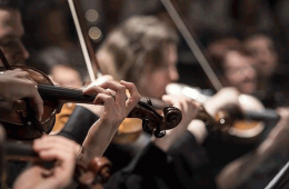 Violin