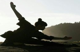 Wushu moderno