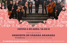 Orquesta de Cámara Aramara