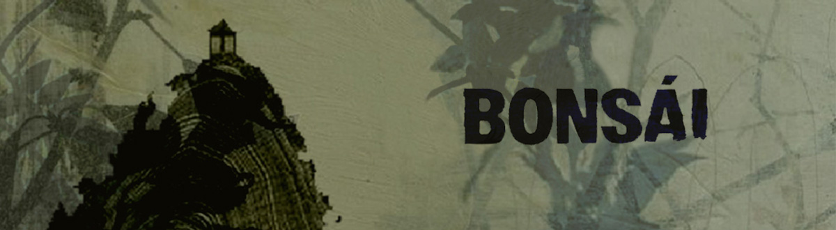 Bonsái