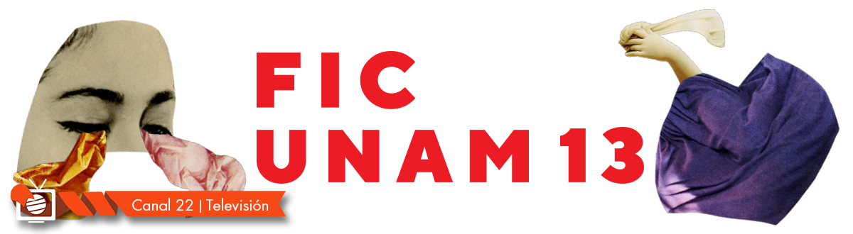 FICUNAM 13