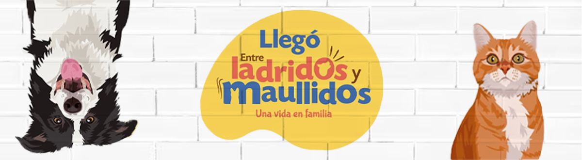 Entre ladridos y maullidos