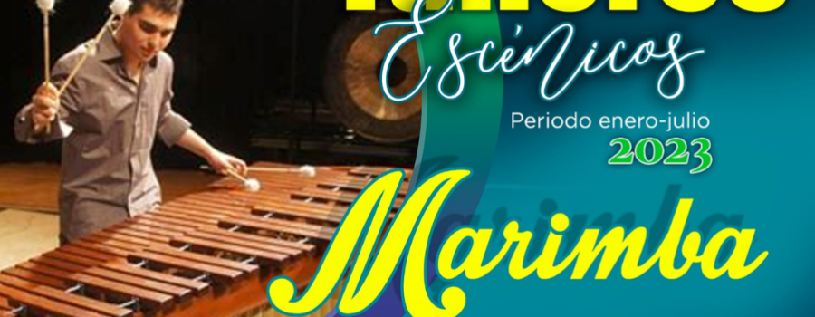 Taller de Marimba