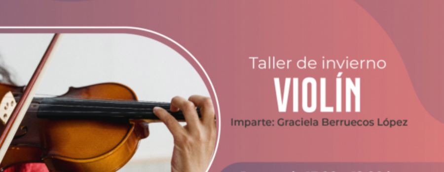 Violín