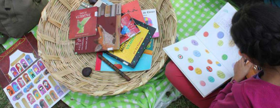 Picnic Literario