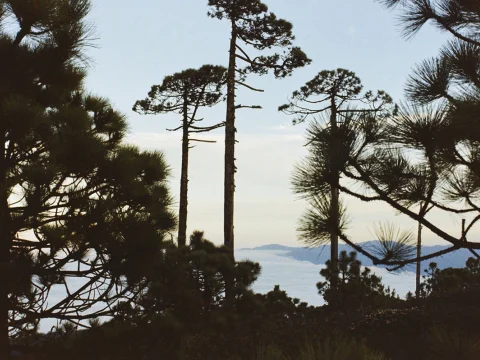 Un lugar  para mirar