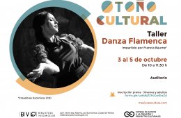 Imagen muestra de la actividad: Danza flamenca