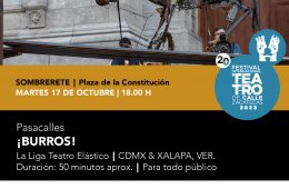 Imagen muestra de la actividad: ¡Burros!