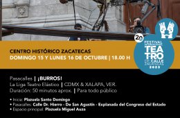 Imagen muestra de la actividad: ¡Burros!