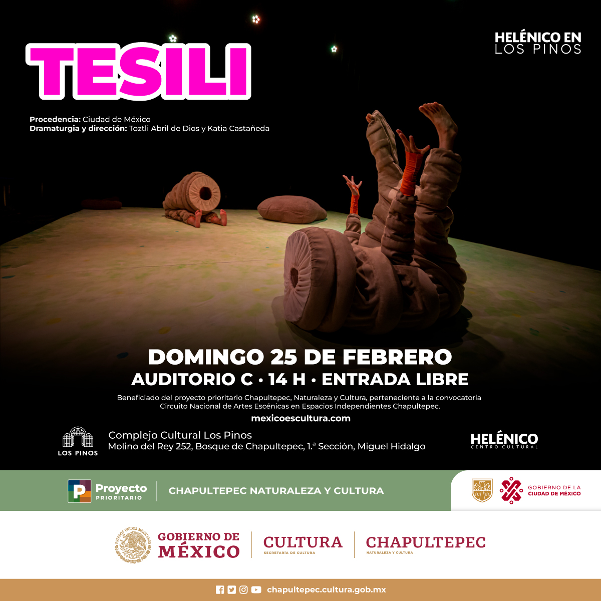 Imagen muestra de Tesili