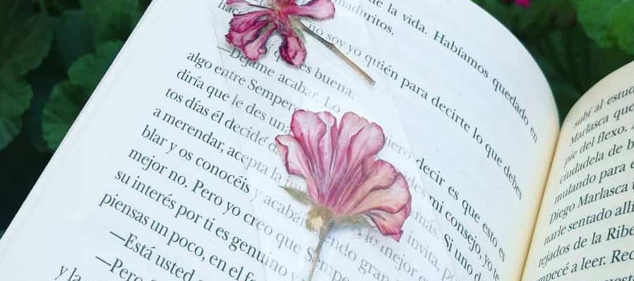 Demostración de física/ Taxidermia/ Separadores de flores