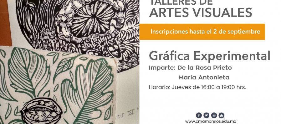 Gráfica Experimental