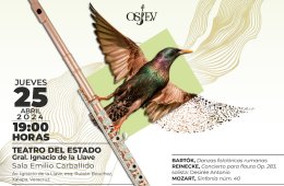 Imagen muestra de la actividad: Cuarto concierto de la temporada febrero-julio 2024 de la Orquesta Sinfónica Juvenil del Estado de Veracruz
