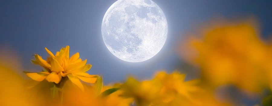 Luna llena