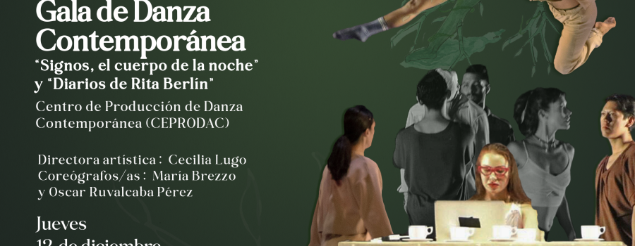 Gala de danza contemporánea