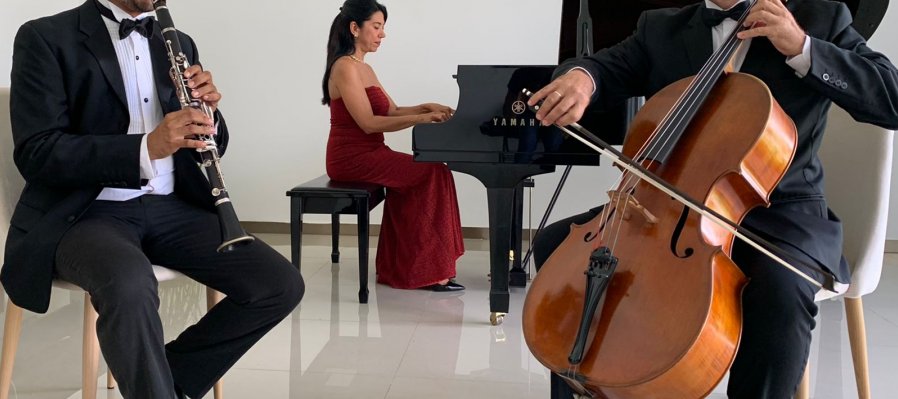 El Romanticismo en la música de cámara
