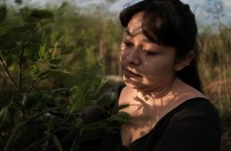 Imagen muestra de la actividad: Miradas cinematográficas de Pueblos Originarios
