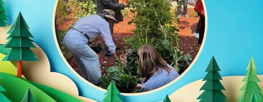 Curso de Agroecología- Julio